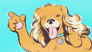 How To Get A Good Dog, And Be A Good Dog Owner